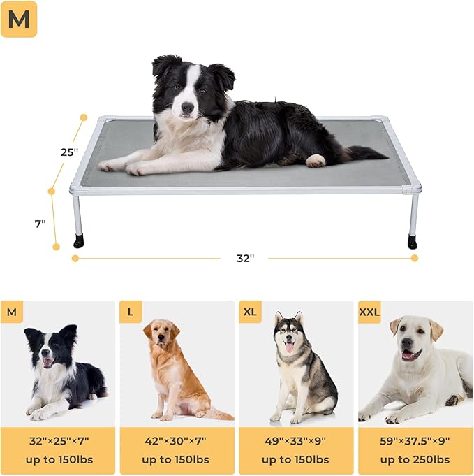 Veehoo Chewproof Elevated Dog Bed - Cooling Raised Pet Cot, Breathable Mesh, Washable & Non-Slip for Medium Dogs, Indoor/Outdoor, Grey Mat and Silver Metal Frame, 32x25inches (Model CWC2203B03)