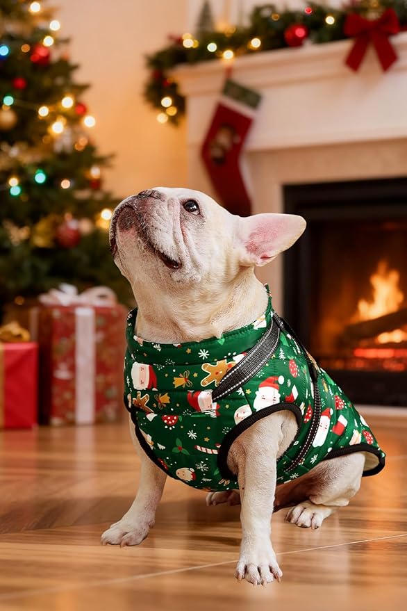 Aiboria Dog Jackets for Winter Windproof Waterproof Vest Fleece Warm Dogs Coat with Belt Christmas Green XXL