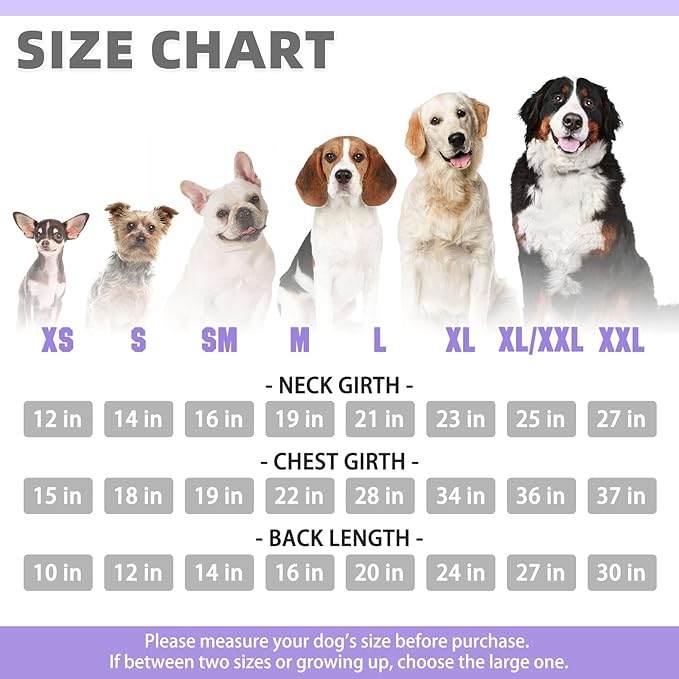 KOOLTAIL Basic Dog Hoodie - Soft & Warm Dog Hoodie Sweater with Leash Hole and Pocket, Pet Winter Coat, Cold Weather Clothes Sweatshirt for Small Medium Large Dogs Puppy Cat Boys Girls Lavender XXL