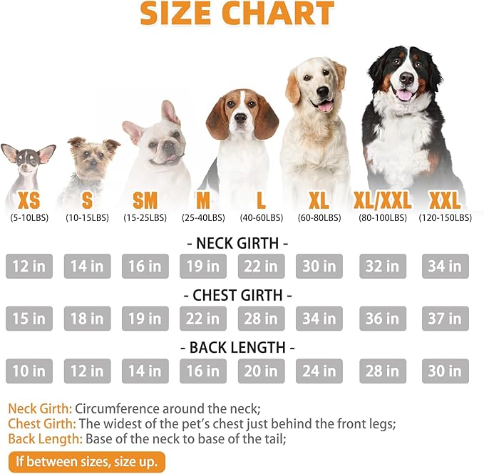 KOOLTAIL Plaid Dog Hoodie Pet Clothes Sweater with Hat and Pocket for Small Medium Large Size Dogs, Soft Winter Warm Dog Cold Weather Coat, Fleece Fall Dog Hooded Sweatshirt for Puppy Cats, Beige M
