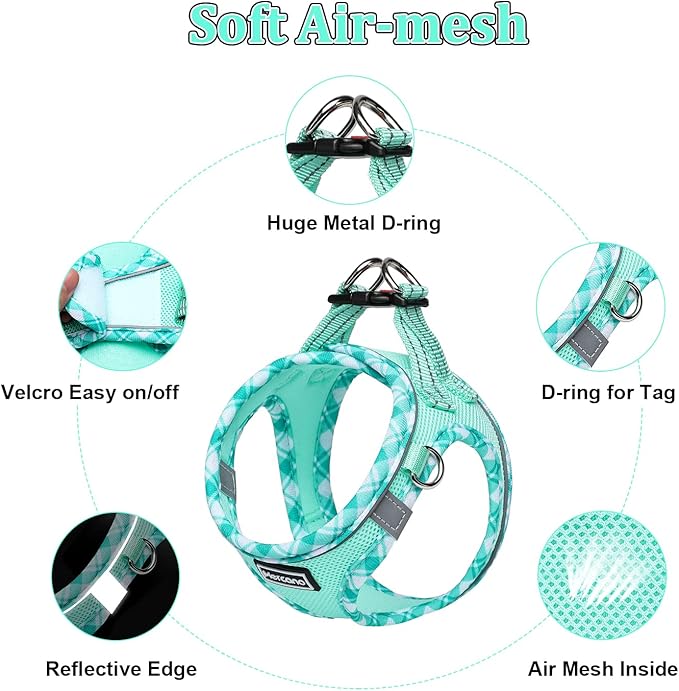 Mercano Soft Mesh Dog Harness and Leash Set, No-Chock Step-in Reflective Breathable Lightweight Easy Walk Vest Harnesses with Safety Buckle for Small Dogs, Cats (Light Green, L)