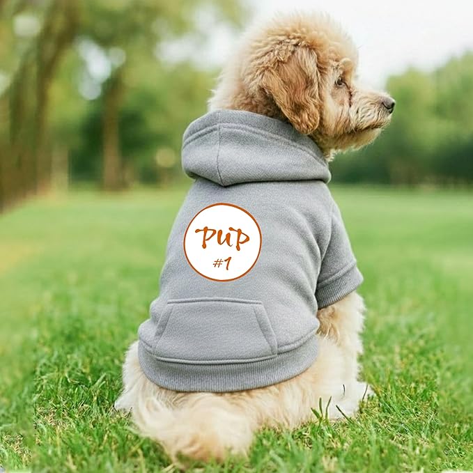 Personalized Name Dog Hoodie, Printed/Embroidered Puppy Sweater with Name/Text, Custom Security Clothes Warm Winter Dog Outfit, Bright Puppy Sweatshirt, Pet Birthday Outfit, Gift for Dogs Lovers 01