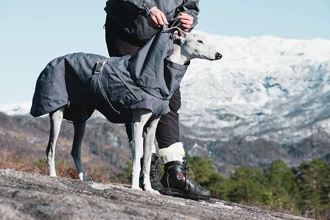 Hurtta Expedition Parka, Winter Dog Coat, BlackBerry, 24 in