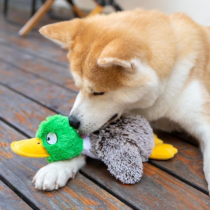 Best Pet Supplies Interactive Squeaky Dog Chew Toy, Ideal Dog Toys for Chewers, Small, Medium & Large Dogs, and Fetch Lovers - Mallard Duck (Gray), Large