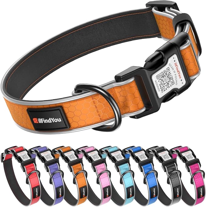 Personalized Dog Collar with QR Code Dog Tag, Oxford Orange L | Anti-lost, Oxford, reflective, padded, XS-L(8"-24"), QR buckle shares lost pet profile, location alerts when scanned, No Fees