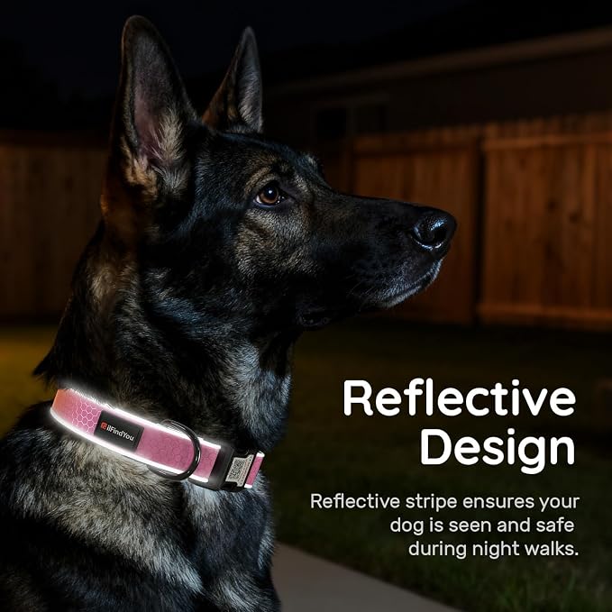 Personalized Dog Collar with QR Code Dog Tag, Oxford Pink S | Anti-lost, Oxford, reflective, padded, XS-L(8"-24"), QR buckle shares lost pet profile, location alerts when scanned, No Fees