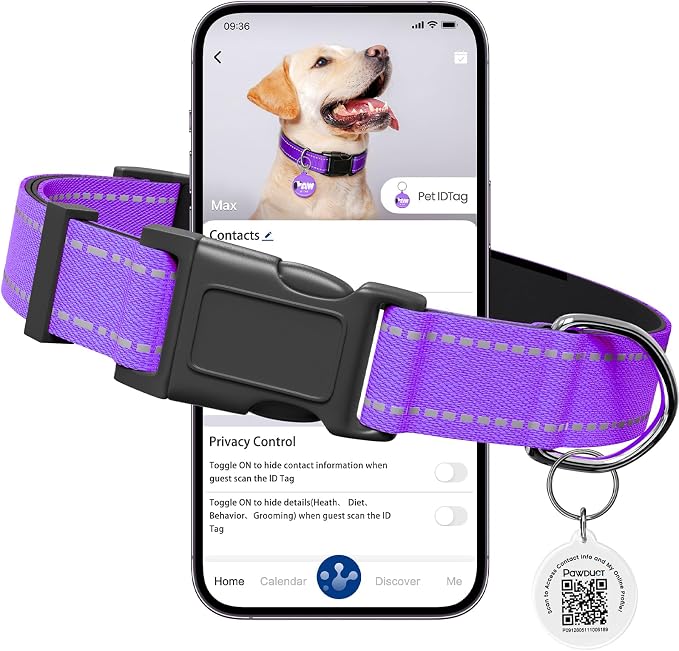 Personalized Dog Collar with QR Code Tag, Extra Small, Puple | Reflective Dog Collar for Girl Dogs, Quick Release Buckle, Adjustable and Comfortable Nylon Pet Collar