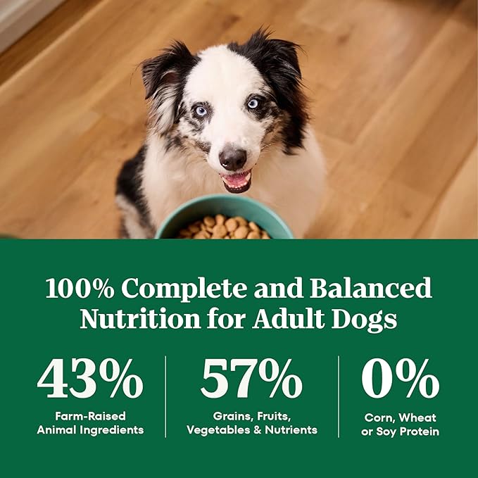 Nutro Natural Choice Adult Dry Dog Food, Beef & Brown Rice Recipe, 4.5 lb. Bag
