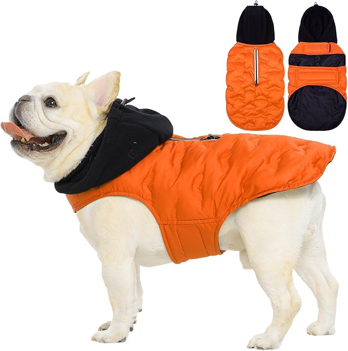 Nanaki Small Dog Puffer Jacket with Leash Hole, Warm Winter Coat Dog Puffer Coat Reflective, Lightweight Windproof Snowsuit for Hiking Walking Outdoor Activities, Halloween Christmas Easy on, Orange