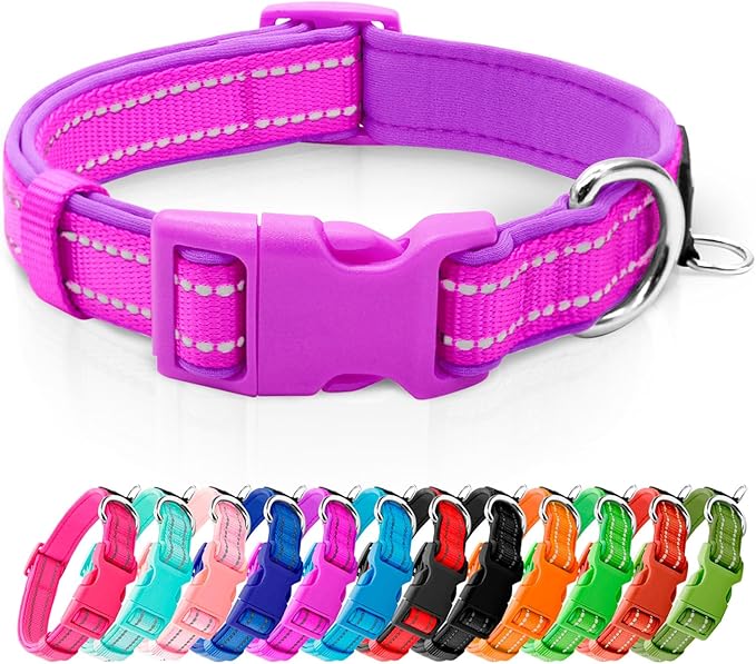 azuza Reflective Dog Collar, Neoprene Padded Puppy Collar, Purple, XS