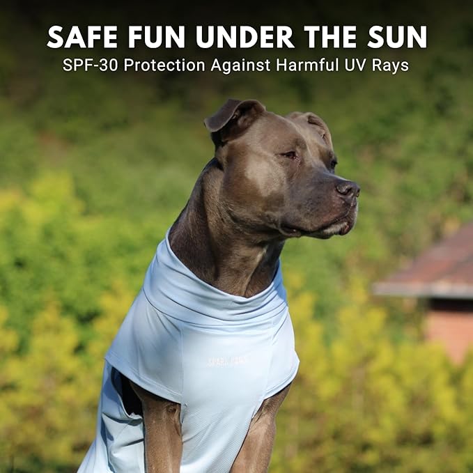 Spark Paws Sunblock Dog T-Shirt, SPF30 Protection, Lightweight Breathable Quick Dry for Dogs with Sensitive Skin - Blue & Mint (Set of 2) - S