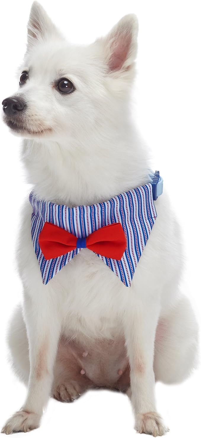 Blueberry Pet Iconic High Street Fashion Adjustable Dog Bandana Collar with Bow Tie, Small, Neck 12"-16"