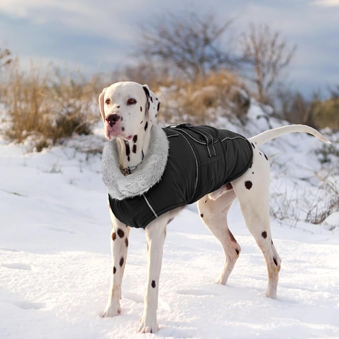 LeLePet Waterproof, Windproof Dog Coat (Black, 2XL) - Reflective, Adjustable, Polyester Cold Weather Coat with Fleece Lining for Large Dogs