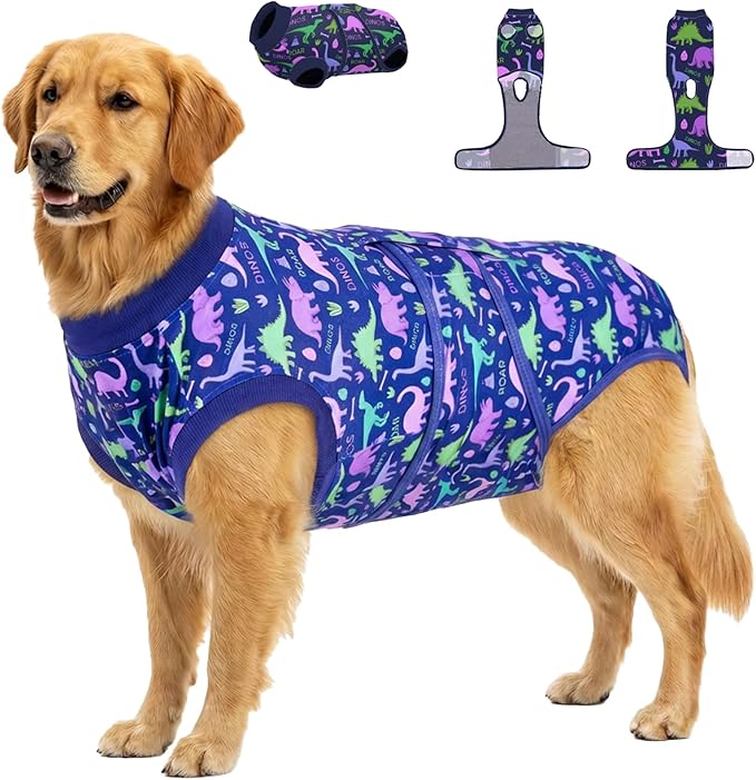 PetWarm Dog Recovery Suit Male Neutered Surgery, Onesies for Dogs, Dog Cone Alternative After Surgery, Substitute E-Collar and Cone Prevent Pet Surgery Recovery Suit, Dinosaur pattern, Blue Purple, XL