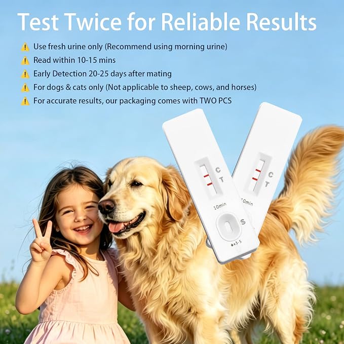 LBO Dog Pregnancy Test Kit at Home - 2 PCS Urine Early Pregnancy Test for Pet/Dogs/Cats (A-Urine 2PCS) Urine Pee Based no Blood Painless,Higher Accurate,10-15 Minute Results