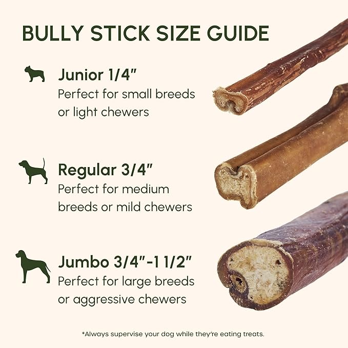 Downtown Pet Supply USA Sourced Bully Sticks for Dogs - Grass-fed Beef Chews, Low-Odor & Rawhide-Free, Long Lasting Dog Treats for Heavy Chewers - Healthy, Safe & Delicious Chews (12" 30 Pack)