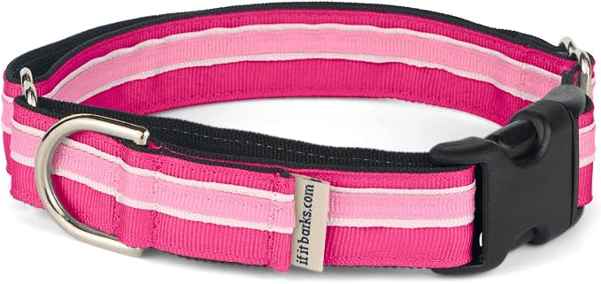 If It Barks 1" Martingale Collar with Quick Snap Release Buckle, Adjustable, USA Made, Medium, Bubble Gum