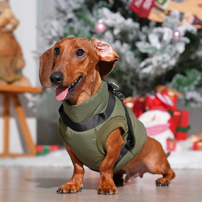 Dog Jacket with Harness,Fleece Lined Warm Puppy Coat for Winter,Soft Windproof Small Dog Vest,Green XS