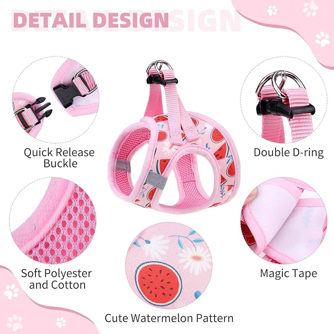 KOOLTAIL Dog Harness and Leash Set for Small Medium Dogs, Step in No Pull Soft Mesh Dog Harness Comfort Padded Pet Vest, Adjustable Reflective Easy Walking Puppy Cats Harness Training, Watermelon XS