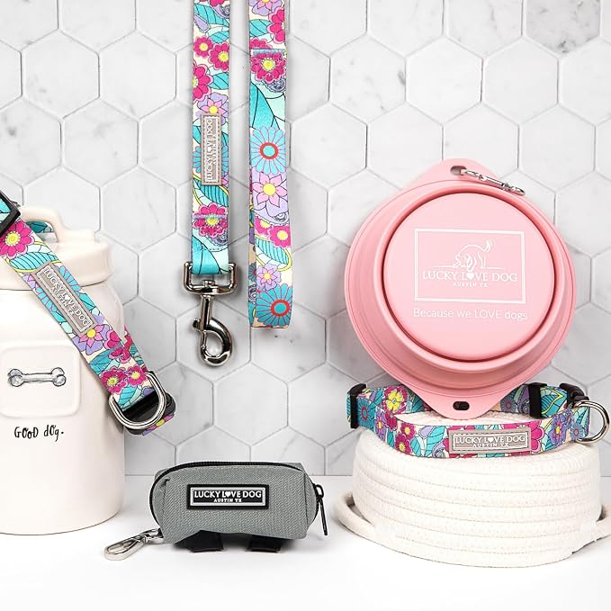 Lucky Love Dog Martingale Collar & Leash Set No Slip Cute – Caroline, Small