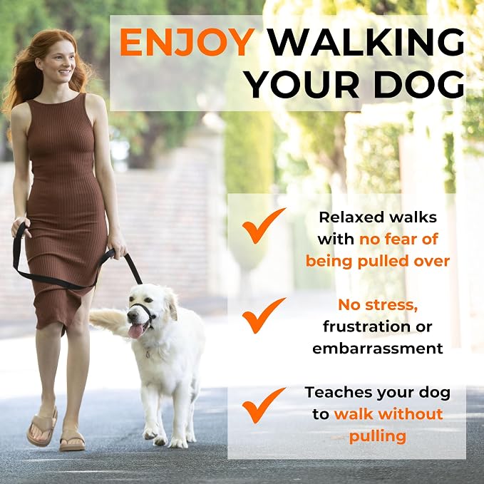 Canny Gentle No-Pull Dog Training Head Collar to Stop Pulling Red Size 4