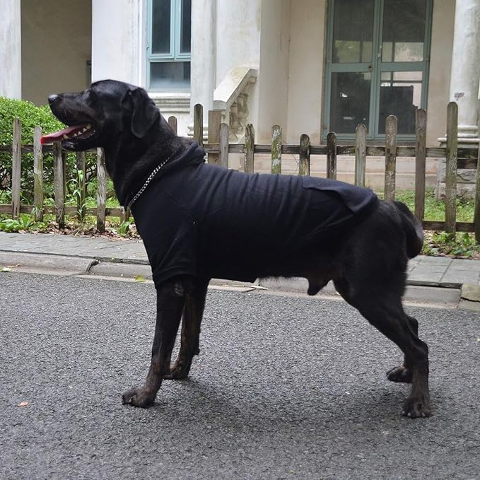 Lovelonglong Blank Basic Hoodie Sweatshirt for Dogs 100% Cotton Fits Small Medium Dachshund Large Dog Black L