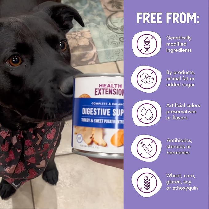 Health Extension Wet Dog Food Turkey & Sweet Potato Entrée in Gravy, 9 oz - Digestive Support with Superfoods & Antioxidants for Immune Support (Case of 12 Cans)