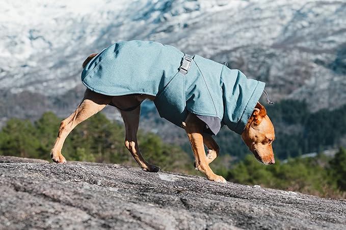 Hurtta Expedition Parka, Winter Dog Coat, Bilberry, 28 in