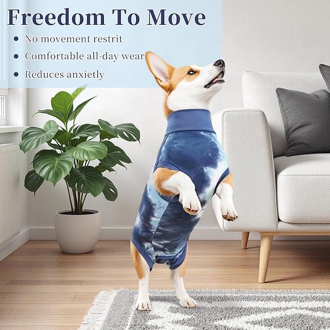 Recovery Suit for Dogs, Dog Onesie Suit for Post-Surgical, Dog Recovery Suit, Dog Clothes for Abdominal Wounds and Skin Conditions, Blue, Large