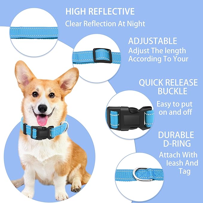 Reflective Dog Collar with Safety Locking Buckle, Adjustable Soft Breathable Nylon Collars for Small, Medium and Large Dogs(Collar+Leash S Width 5/8" Sky Blue)