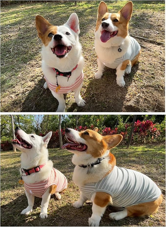 Koneseve Dog Shirt Vest Lightweight Stretchy Dog T-Shirt Soft Cool Shirts Sleeveless Stripe Vests Breathable Clothes for Puppy Kitty Cats Small Medium Large Dogs 2 Pack Pink + Green [XL/Extra Large]