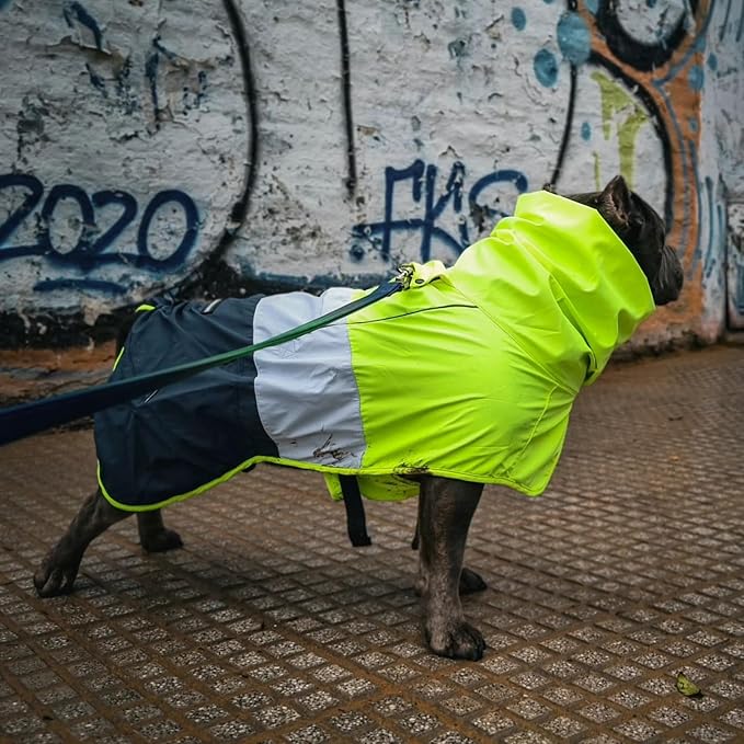 Spark Paws Dog Raincoat, Waterproof Windproof Rain Jacket, for Small Medium Large Extra Large Dogs, Reflective Breathable Full-Body Coverage Dry Suit - Neon White Navy Blue, 2XL