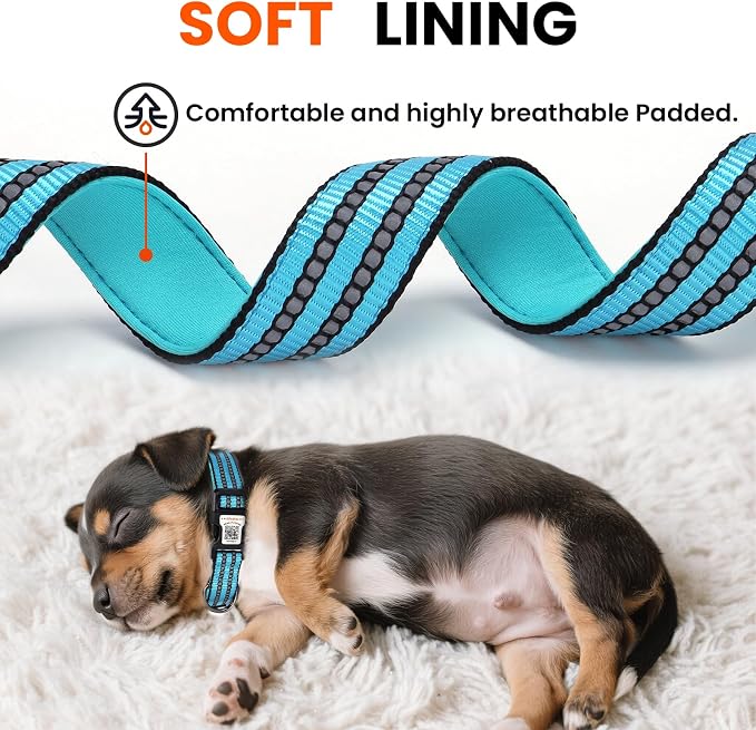 Personalized Dog Collar with QR Code Dog Tag, Light Blue S | Anti-lost, 1000D nylon, reflective, padded, XS-L(8"-24"), QR buckle shares lost pet profile, location alerts when scanned
