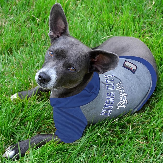 MLB Hoodie Shirt for Dogs & Cats - Kansas City Royals Dog Hooded T-Shirt, X-Small. - MLB Team Color Hoody Vest for Baseball Fans