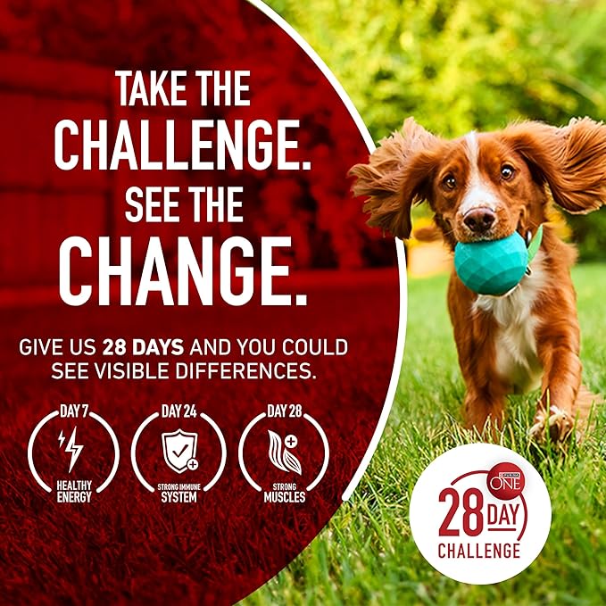 Purina ONE Natural High Protein Dry Dog Food Dry True Instinct with Real Beef and Salmon With Bone Broth and Added Vitamins, Minerals and Nutrients - 27.5 lb. Bag