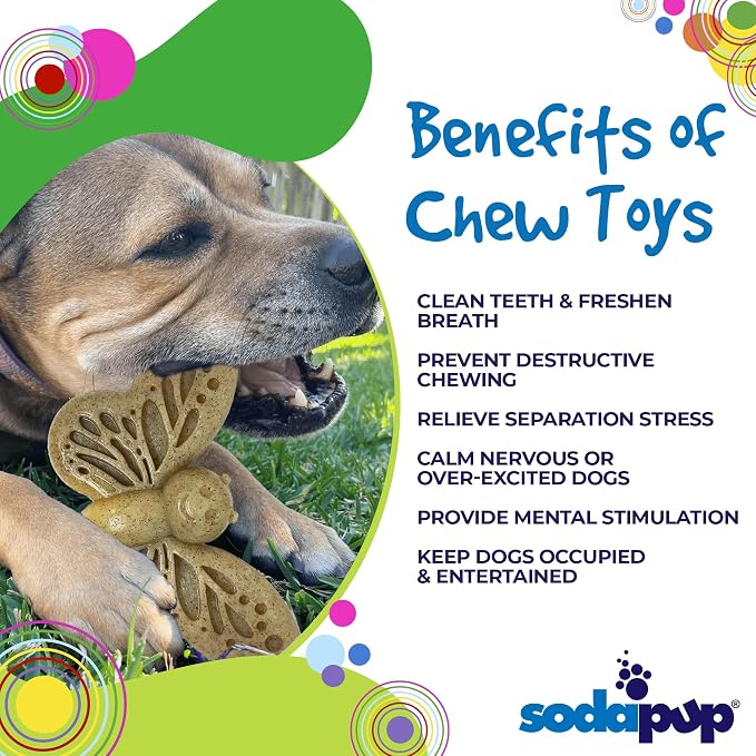 SodaPup Butterfly – Durable Dog Chew Toy Made in USA from Non-Toxic, Pet Safe, Food Safe Nylon Material for Mental Stimulation, Clean Teeth, Fresh Breath, Problem Chewing, Calming Nerves & More