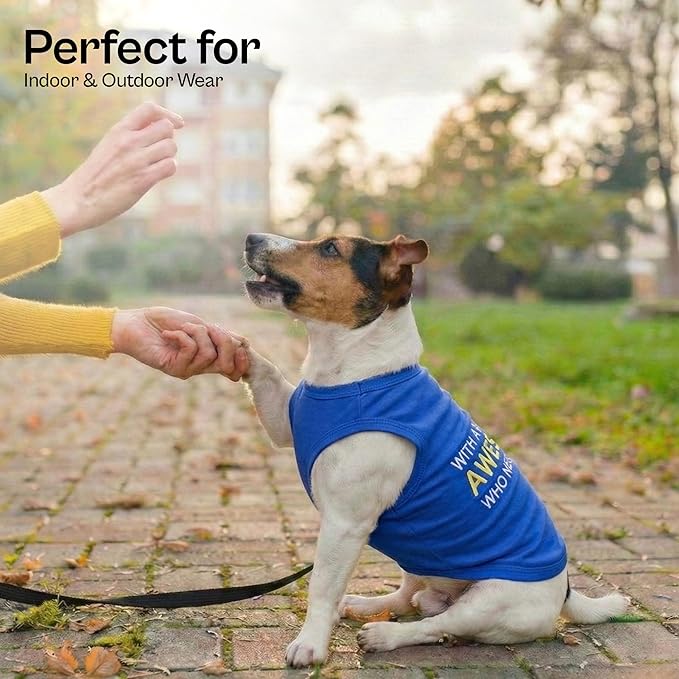Parisian Pet Dog Tshirt - Embroidered “ Awesome “ Dog Shirt - Pure Cotton and Lightweight Dog Clothes - Blue Sleeveless Pet Tee Shirts - Cute Puppy Clothes - Pet Shirts for Large Dogs Boy - XL