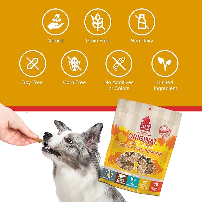 PLATO Pet Treats Real Strips - Air-Dried Meat Bars for Dogs - Delicious, Limited Ingredient Dog Treats - Grain Free - Original Real Strips Turkey & Pumpkin 18oz - 2 Pack