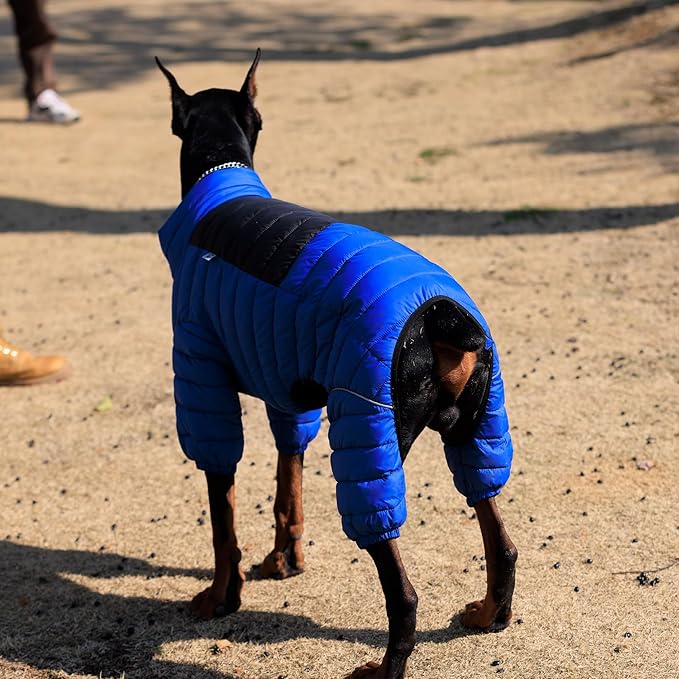 Lovelonglong Warm Jacket - 4 Legs Covered Waterproof Windproof Reflective Vest, Zippered Adjustable Outdoor Snow Jacket for Small Medium Large Dogs, Blue XXXXL