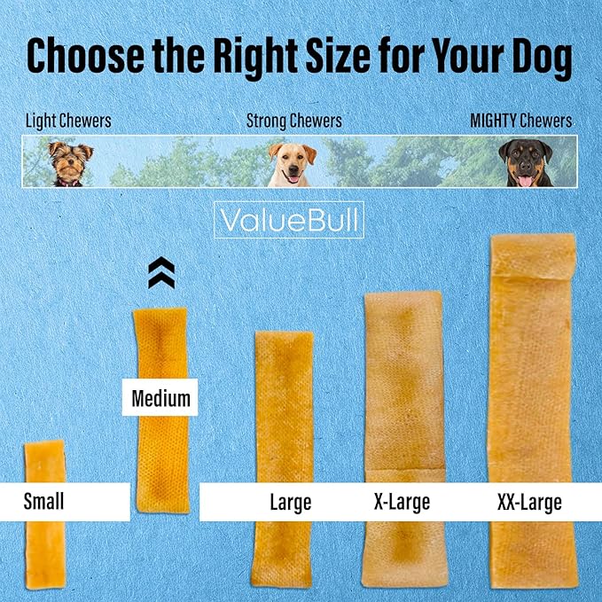 ValueBull Himalayan Yak Cheese Dog Chews, Medium, 10 ct - Long Lasting for Aggressive Chewers, All Natural, Healthy & Safe, Low Odor Nepal Yak Milk Chews