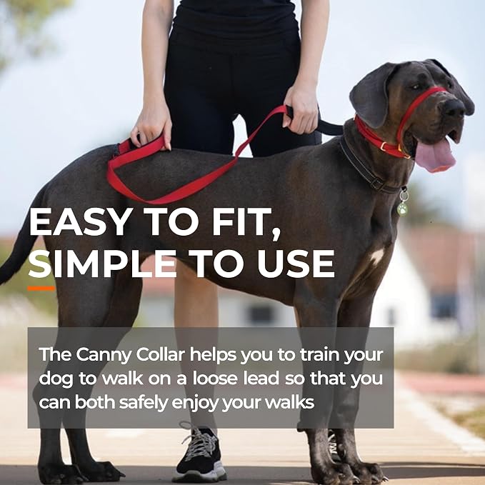 Canny Gentle No-Pull Dog Training Head Collar to Stop Pulling Red Size 4