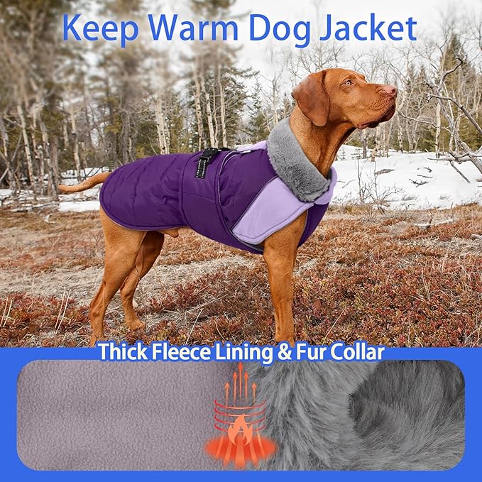MIGOHI Warm Dog Jacket - Waterproof Small Dog Coat with Furry Collar, Windproof Dogs Fleece Vest, Reflective Cold Weather Coats for Small Dogs, Adjustable Buckle, Poodle,S,Purple