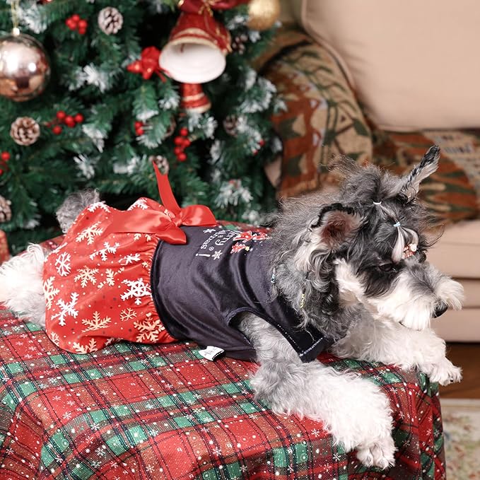 CuteBone Christmas Dog Dresses Velvet Holiday Small Dogs Clothes Onesie Pet Apparel Girl Puppy Skirt with Bow Hair Rope CVA54XS-D
