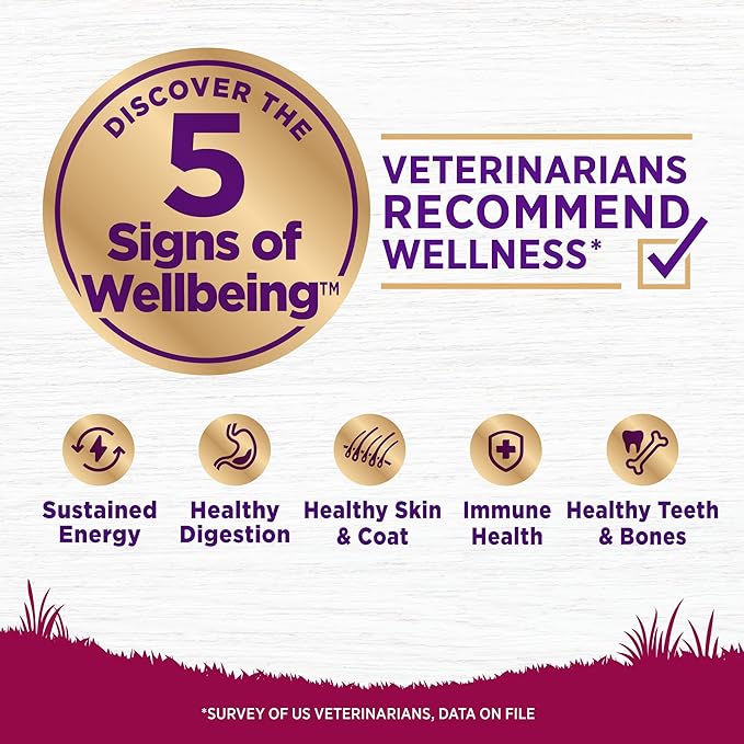 Wellness Complete Health Dry Dog Food, Small Breed, Grain Free, Natural, Turkey, Chicken, & Salmon Recipe (11-Pound Bag)