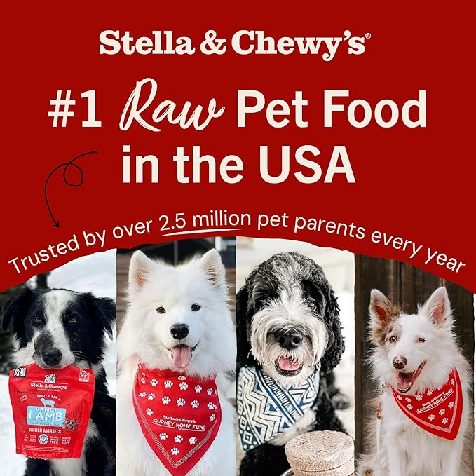 Stella & Chewy's Freeze-Dried Raw Lamb Meal Mixers- Dog Food Topper and Mixer - Made with 95% Grass-Fed Lamb, Organs & Bone - Perfect for Picky Eaters - Grain-Free - 3.5 oz