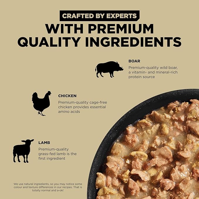 Go! Solutions Carnivore, Grain-Free, Protein Rich Wet Cat Food, Minced Lamb and Wild Boar Recipe, 6.4 oz