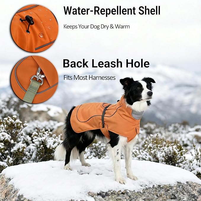 Softshell Dog Winter Vest, Fleece Lined Water-Repellent Jacket for Hiking & Running, Adjustable Windproof Winter Coat with Anti-Slip Leg Straps for Active Dogs (Aurantium, Medium)
