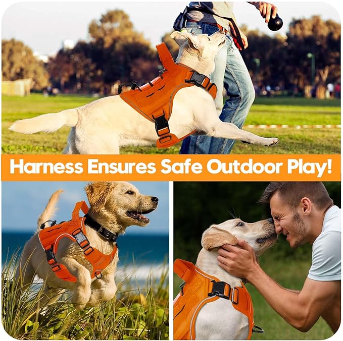 Heavy-Duty Tactical Dog Harness for Large Dogs, No Pull Adjustable Reflective Pet Vest with Molle System, K9 Military-Grade Control for Service Training, Outdoor & 10+ Breeds, Orange, Large