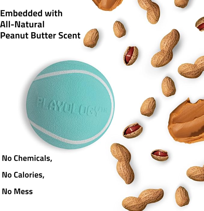 Playology Squeaky Chew Ball for Large Dogs - Jumbo, Peanut Butter Scent