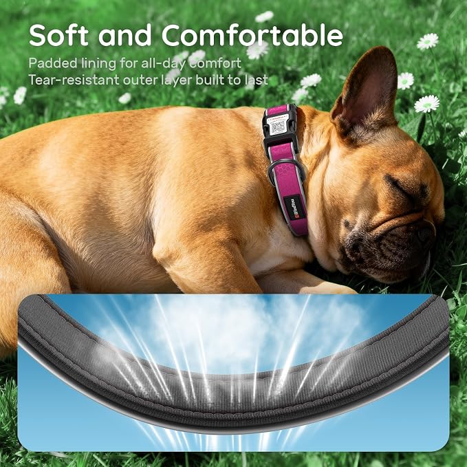Personalized Dog Collar with QR Code Dog Tag, Oxford Rose Red M | Anti-lost, Oxford, reflective, padded, XS-L(8"-24"), QR buckle shares lost pet profile, location alerts when scanned, No Fees